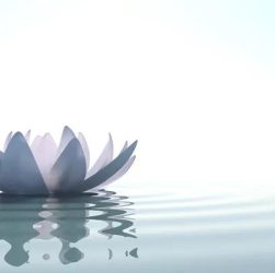 How Small Daily Choices Add Up to a Healthier Lifestyle