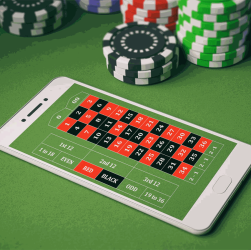 Exploring newly available platforms that bring fresh features and layouts,